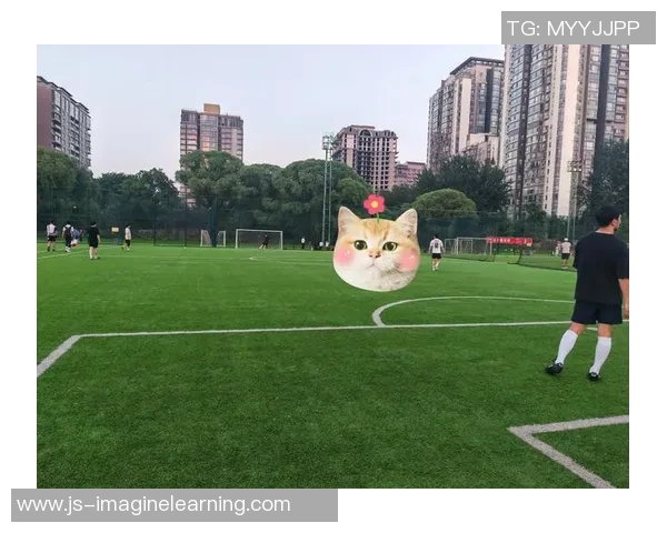 高清足球明星灯箱照片展示让你感受绿茵场上的激情与魅力